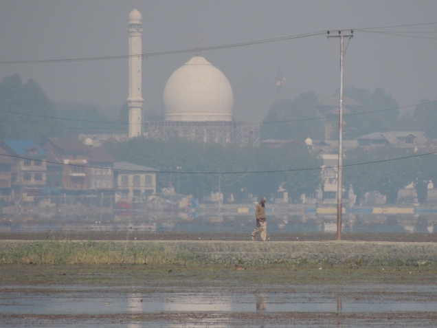 a view of srinagar with hazratbal shrine in the background